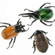 Illustration for article titled Discovery RC Arthropods Are Just Pretentiously Named Plastic Bugs